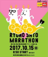 29marathon_poster